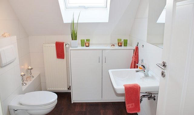 Proč si ženy potrpí na sklopené prkénko toalety Není to pouze kvůli estetiky – má to především hygienické důvody