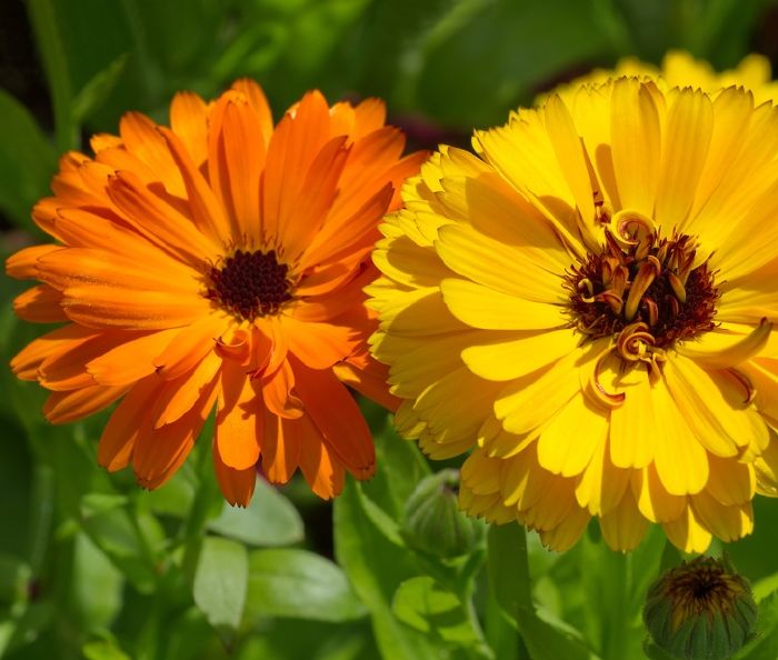 mesice BydlímeÚtulně.cz