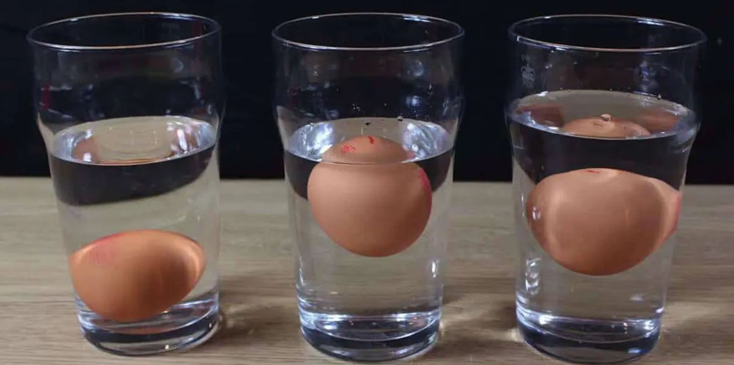 Почему всплывает куриное яйцо. Опыт с яйцом и соленой водой. Эксперимент с яйцом и соленой водой. Яйцо в воде. Яйцо в стакане с водой.