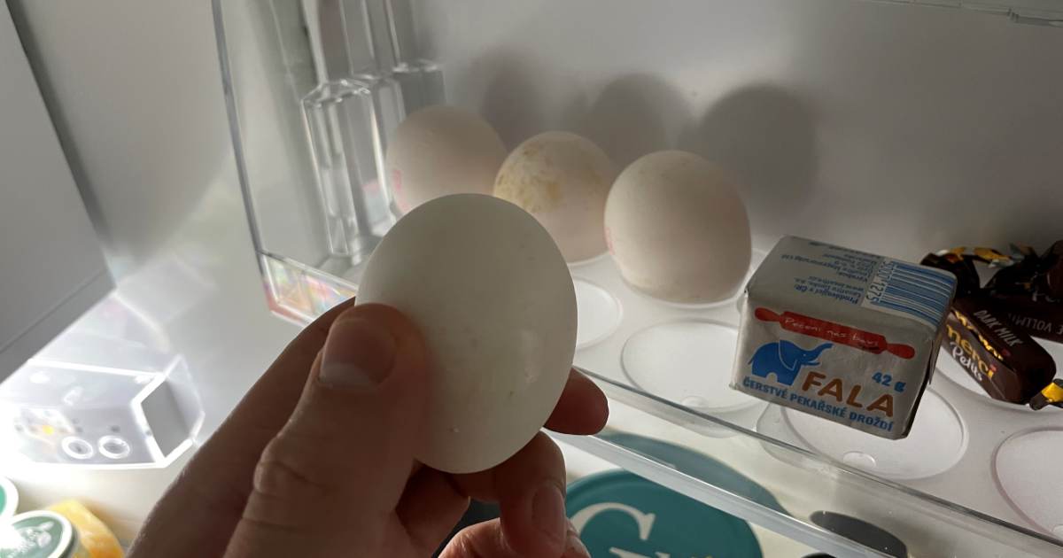 skladovani-vajec-v-lednici