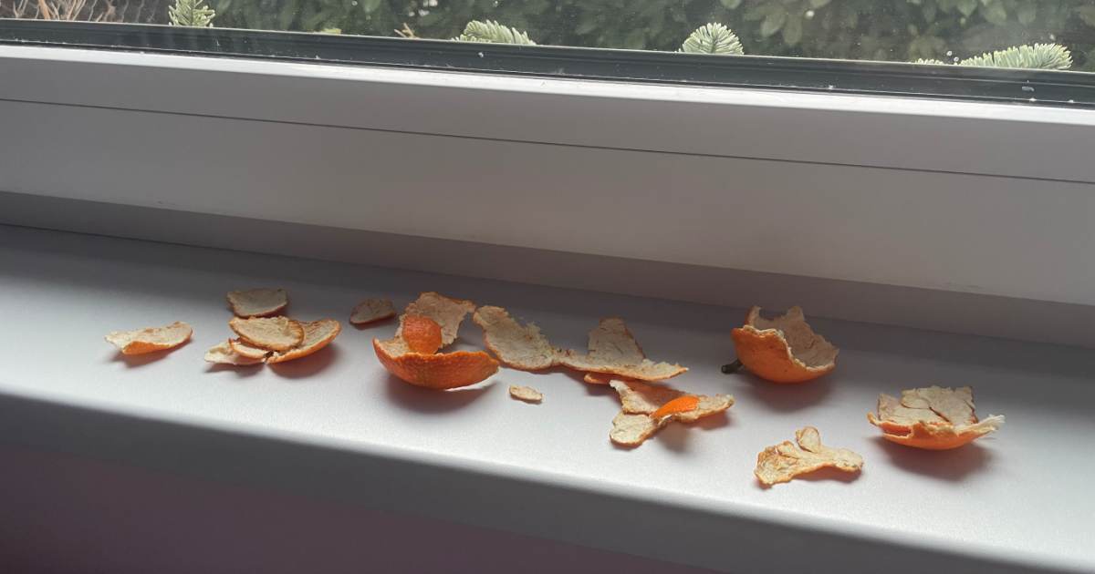 mandarinky-parapet