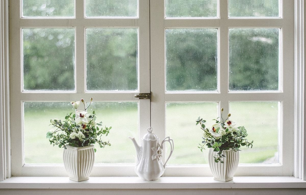okno-rostliny