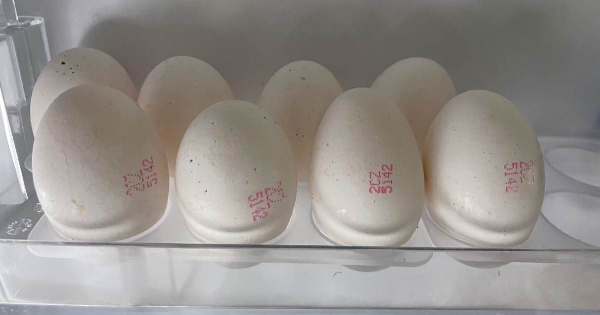 vejce-cisla-lednice