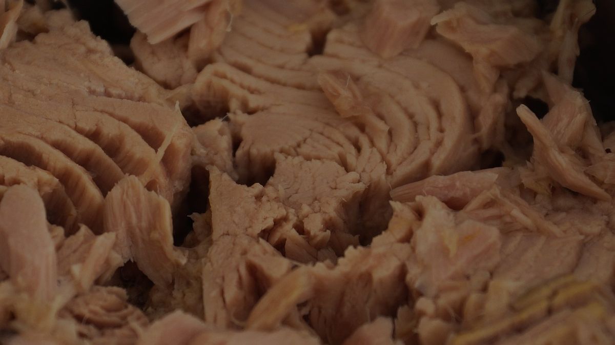 tuňákové maso
