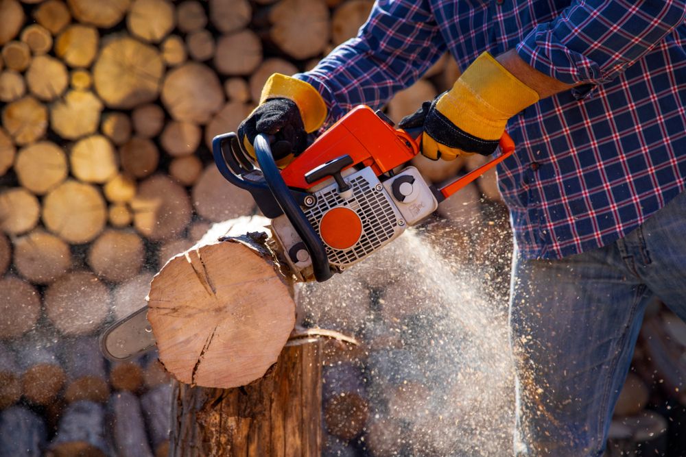 Chainsaw,In,Action,Cutting,Wood.,Man,Cutting,Wood,With,Saw,