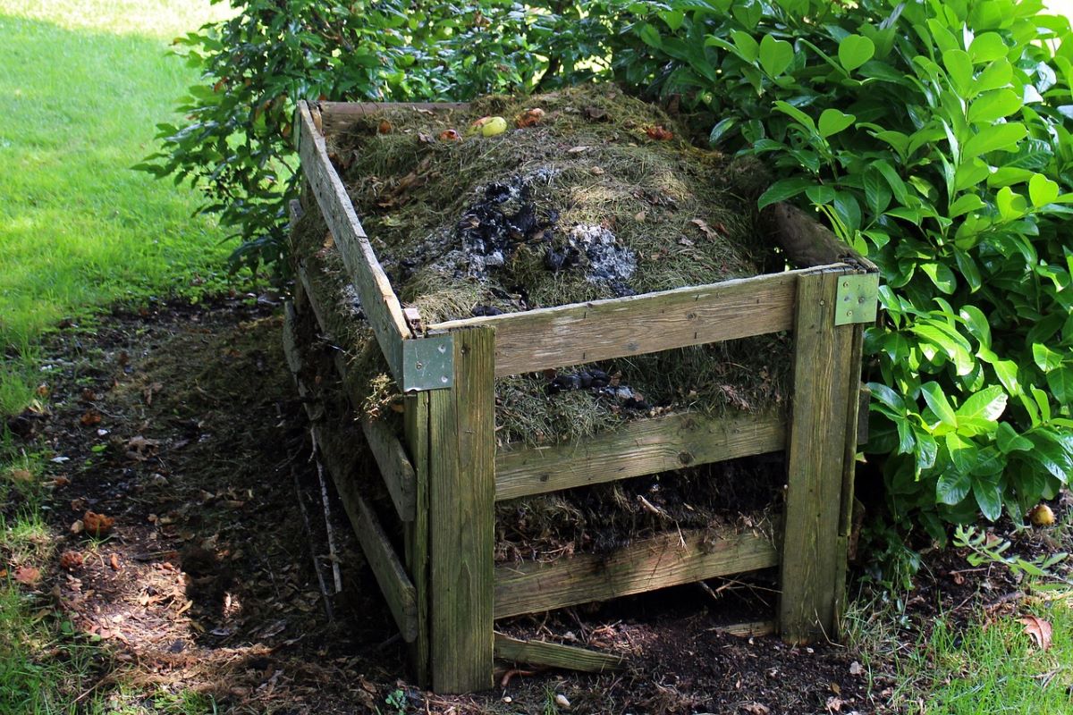 Dřevěný popel patří do kompostu