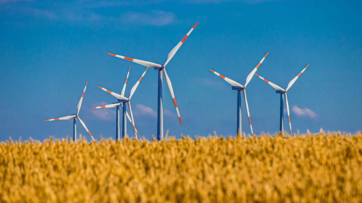 Počet větrných elektráren se má zvýšit