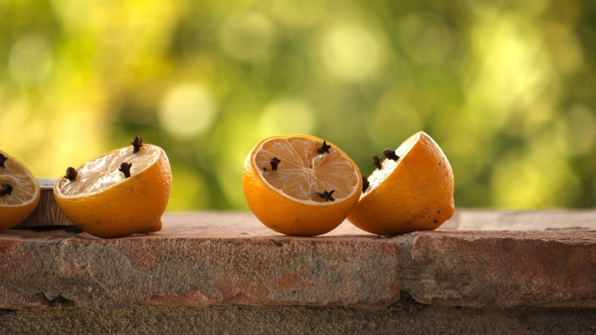 Citron s hřebíčkem vypudí i šatní a potravinové moly