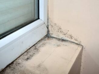 Při nadměrné vlhkosti se plíseň objeví velmi rychle