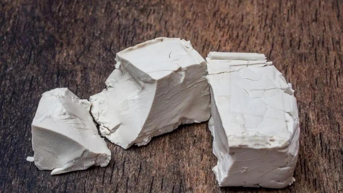 Droždí funguje jako vynikající hnojivo pro všechny rostliny
