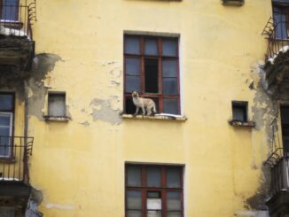 starý zničený dům