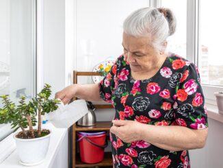 babička zalévá květiny