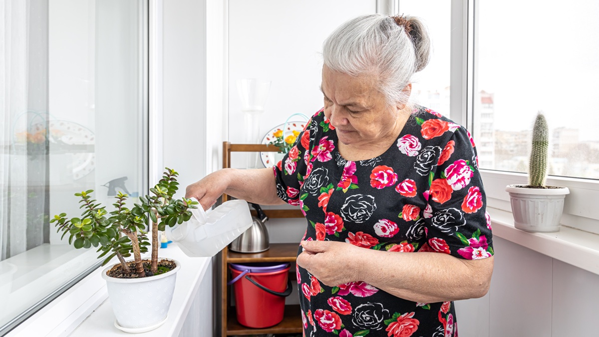 babička zalévá květiny