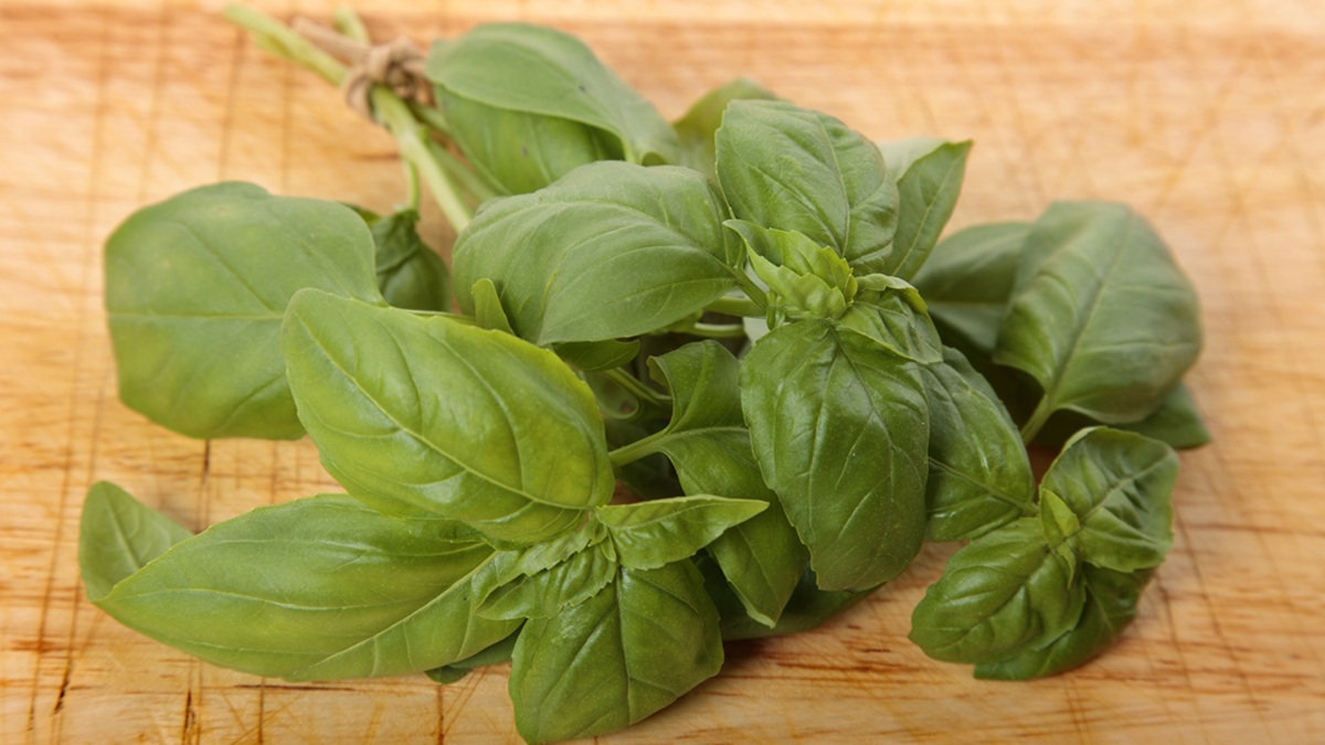 Obrázek k otázce 1