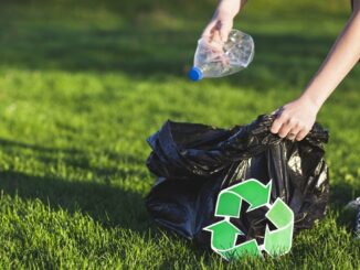 třídění odpadu